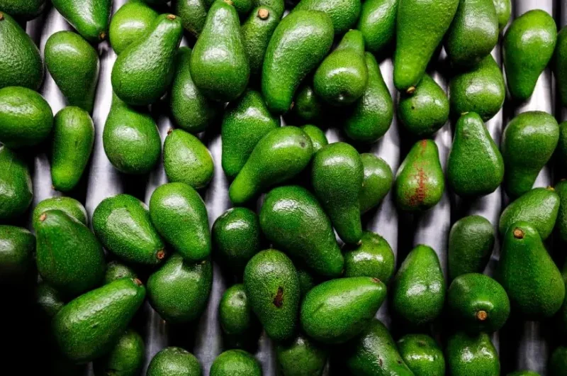 Consumir dos porciones a la semana de esta fruta grasa puede reducir el riesgo de un infarto, según un estudio