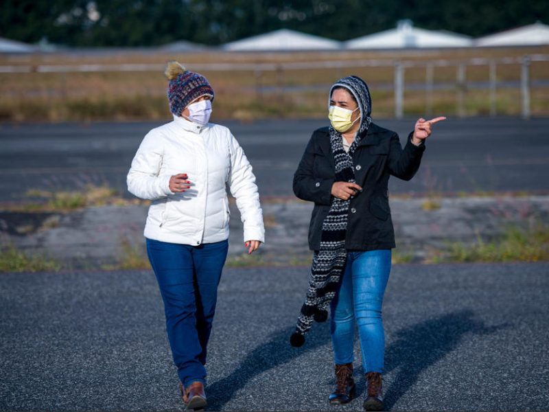 ¿Qué es la gripe aviar y cómo se transmite a los humanos?